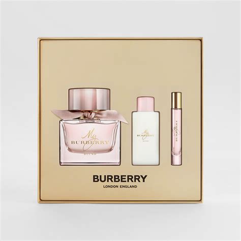 burberry blush perfume notes|my burberry blush gift set.